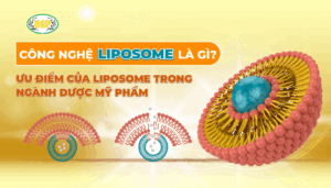 liposome