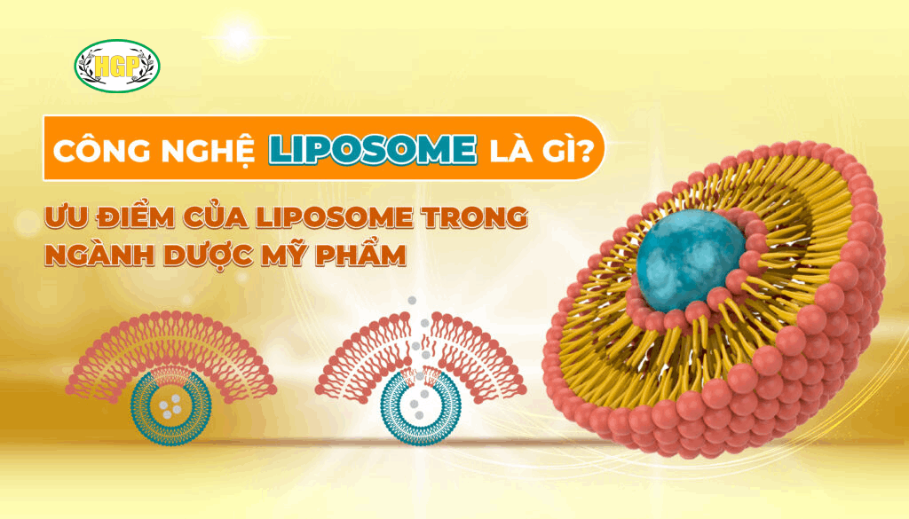 liposome
