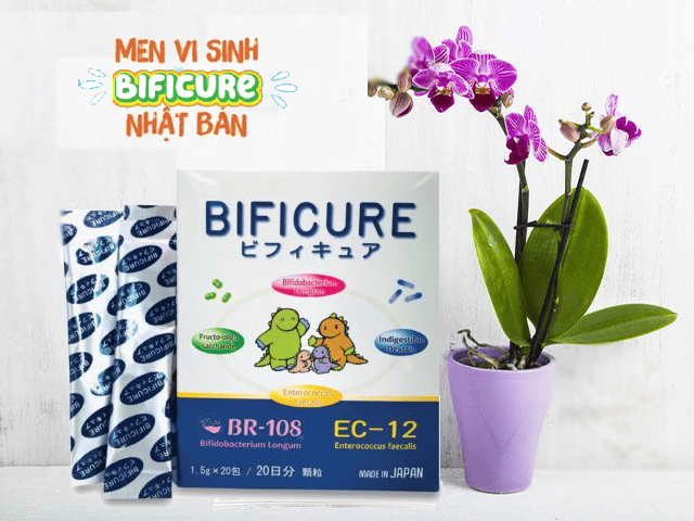 ban ner men tieu hoa bificure